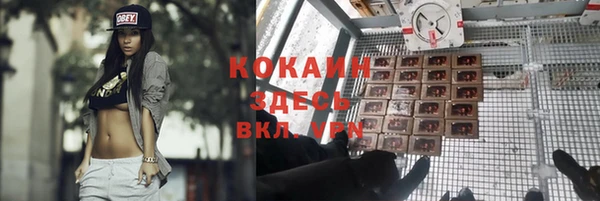спиды Алексин