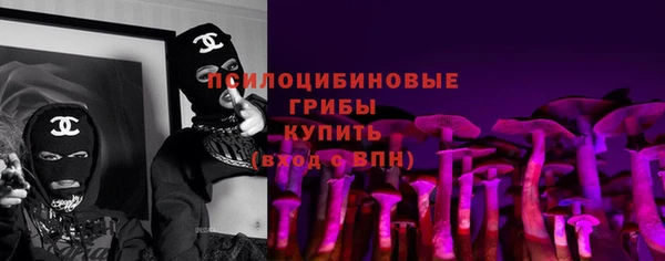 спиды Алексин