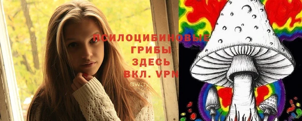 МДПВ Алексеевка