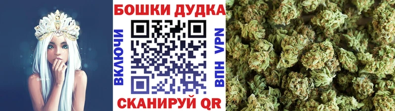 Шишки марихуана сатива  купить наркоту  Кемь 
